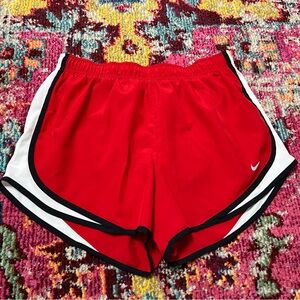 Nike Dri Fit Shorts size Large